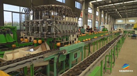 Forum Pelayanan Asal Standardisasi Buah Pertama