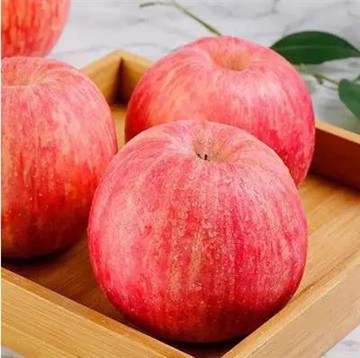 Apel Renyah Dan Manis