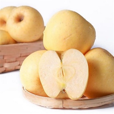 Apel Transparan Kuning